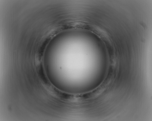 X0000114400607200910161316