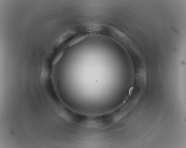 X0000114400608200910161316