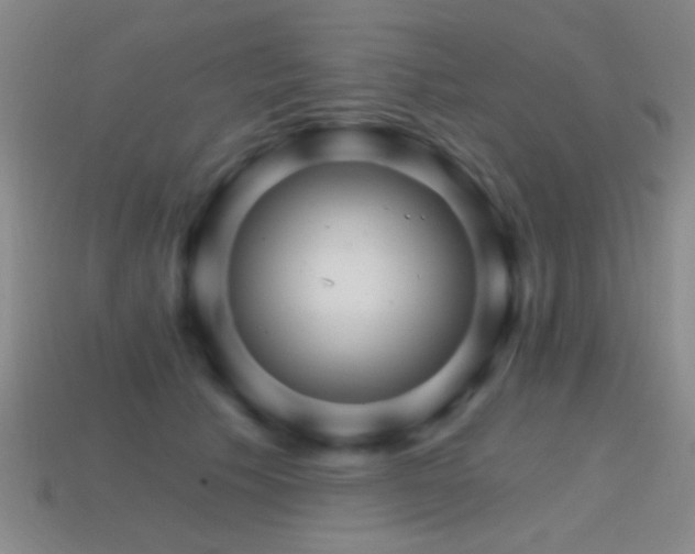 X0000114400609200910161316