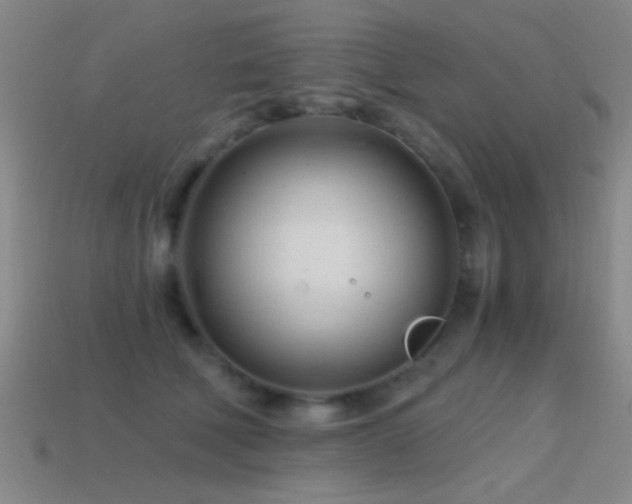 X0000114400610200910161316