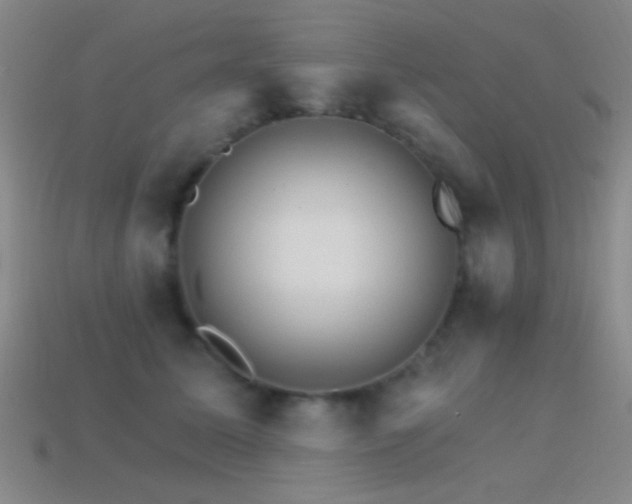 X0000114400611200910161316