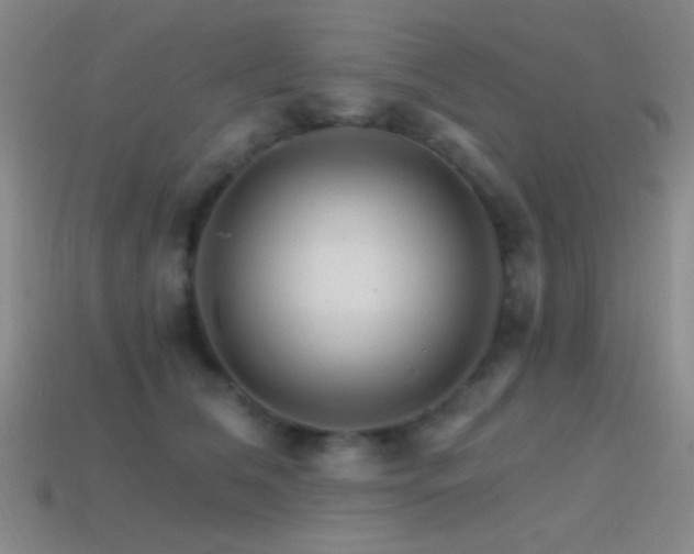 X0000114400612200910161316