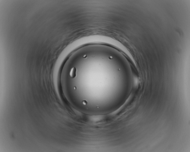 X0000114400613200910161316