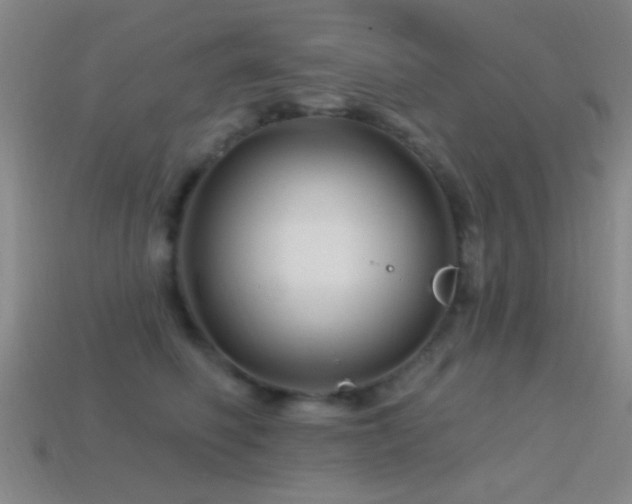 X0000114400614200910161316