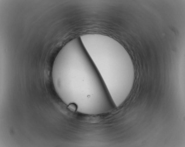 X0000114400615200910161316