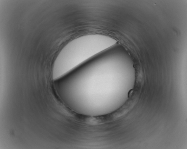 X0000114400616200910161316