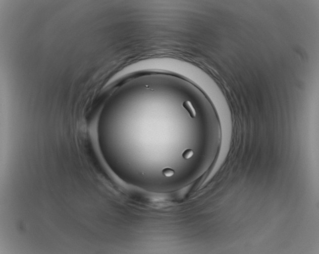 X0000114400617200910161316