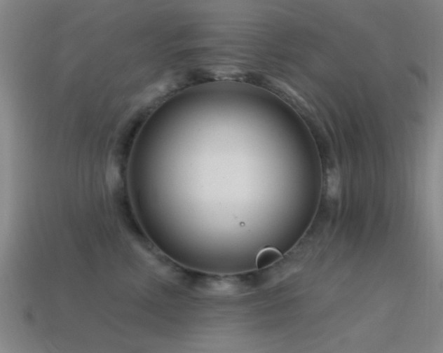 X0000114400618200910161316