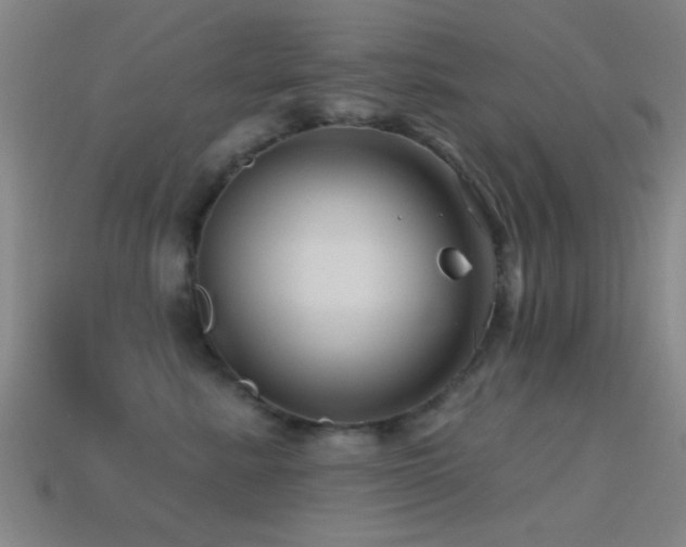 X0000114400619200910161316