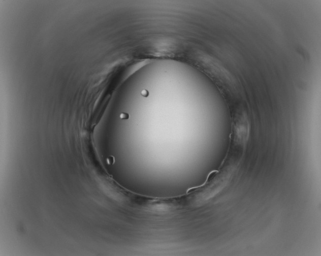 X0000114400620200910161316