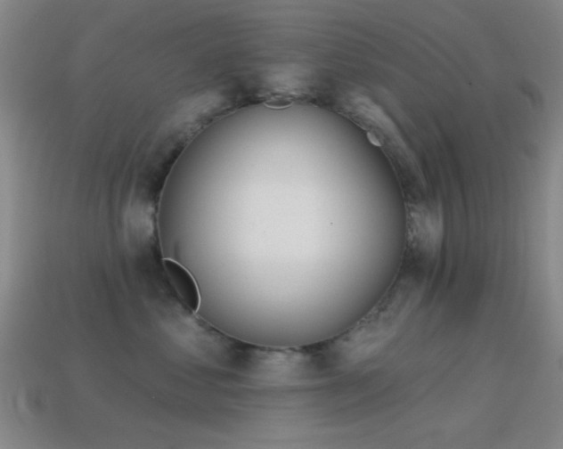 X0000114400621200910161316