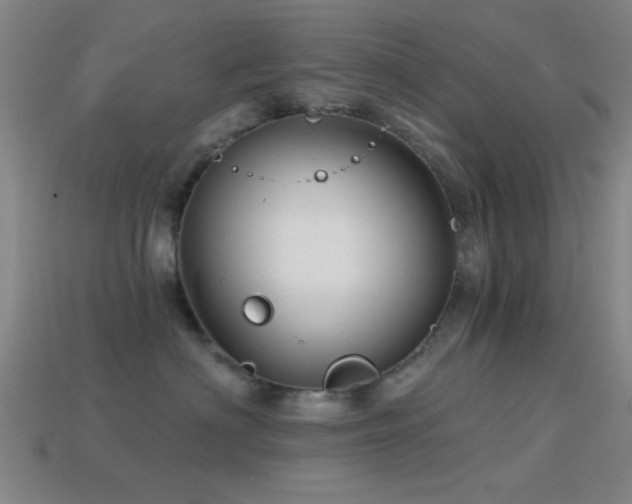 X0000114400622200910161316