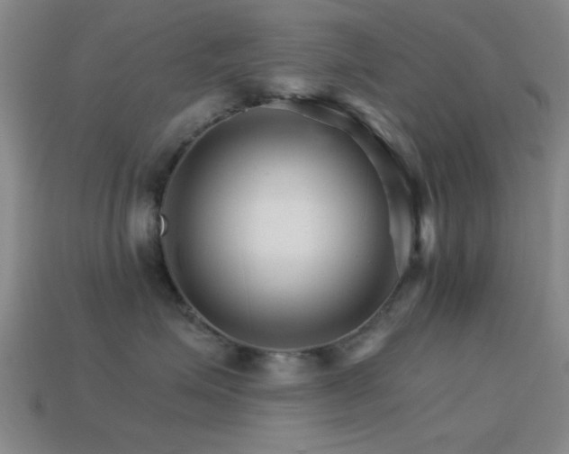 X0000114400623200910161316