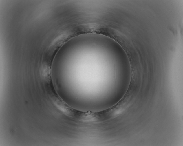 X0000114400624200910161316