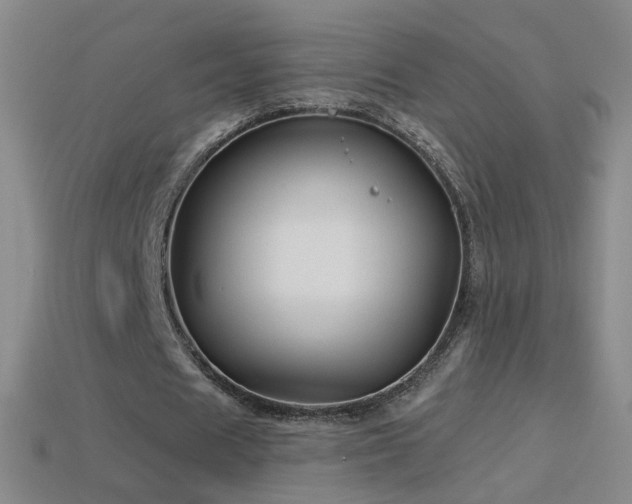 X0000114400625200910161316