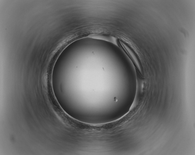 X0000114400626200910161316