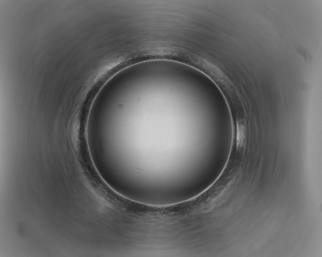 X0000114400627200910161316