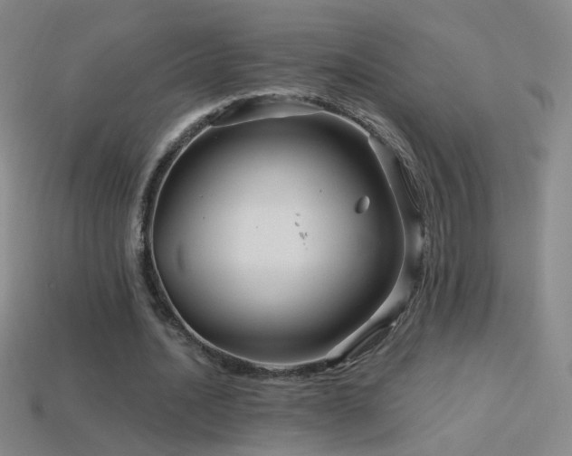 X0000114400628200910161316