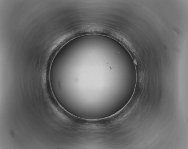 X0000114400629200910161316