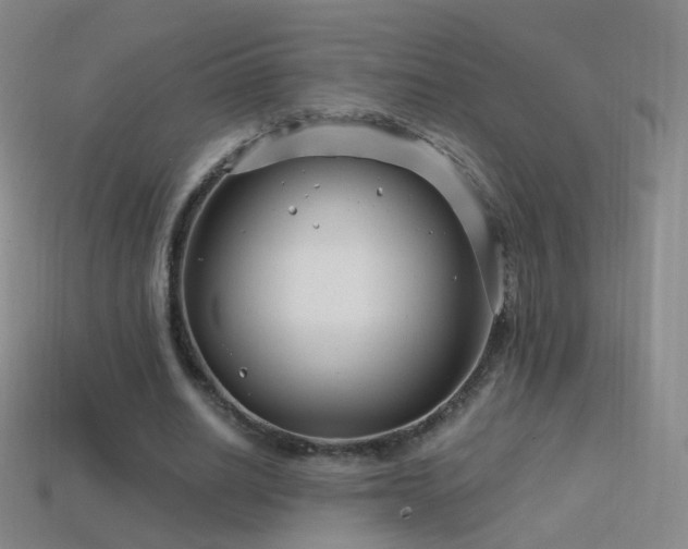 X0000114400630200910161316