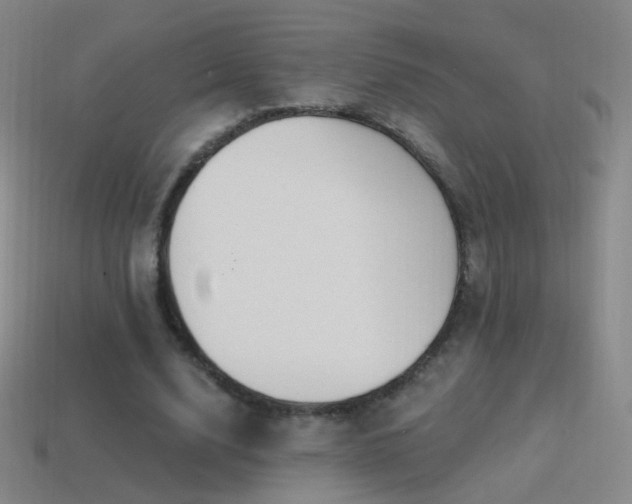 X0000114400632200910161316