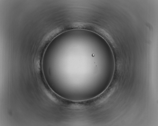 X0000114400633200910161316