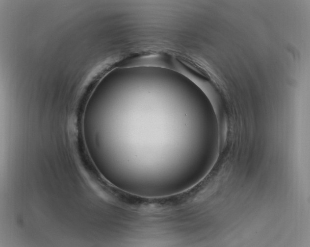 X0000114400634200910161316