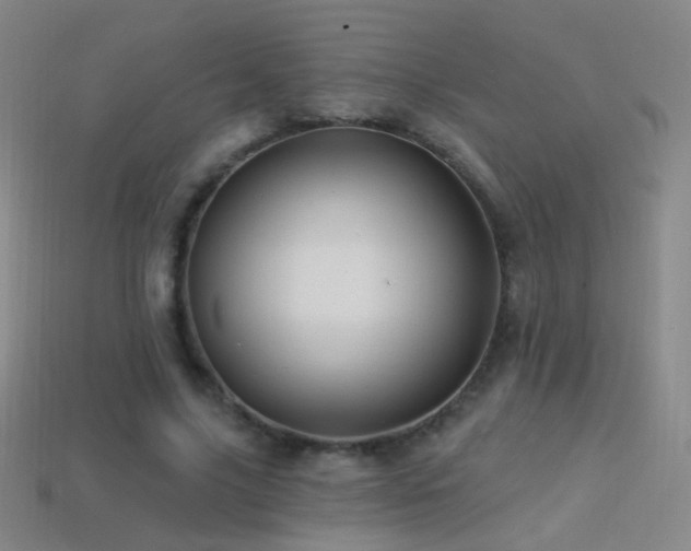 X0000114400635200910161316