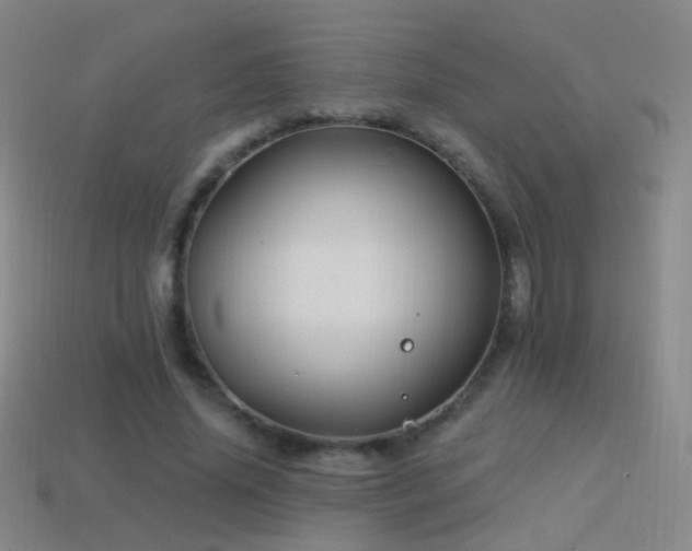 X0000114400636200910161316