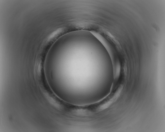 X0000114400637200910161316