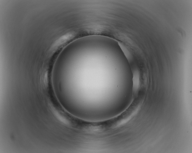 X0000114400638200910161316