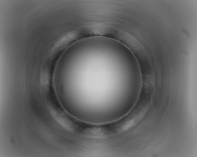 X0000114400639200910161316