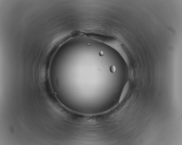 X0000114400640200910161316