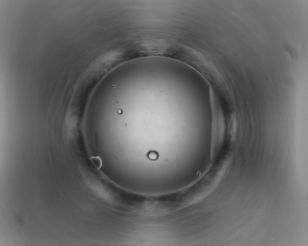 X0000114400641200910161316