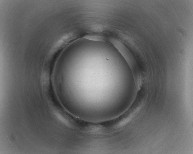 X0000114400642200910161316