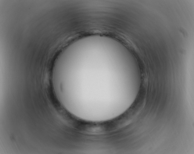 X0000114400643200910161316