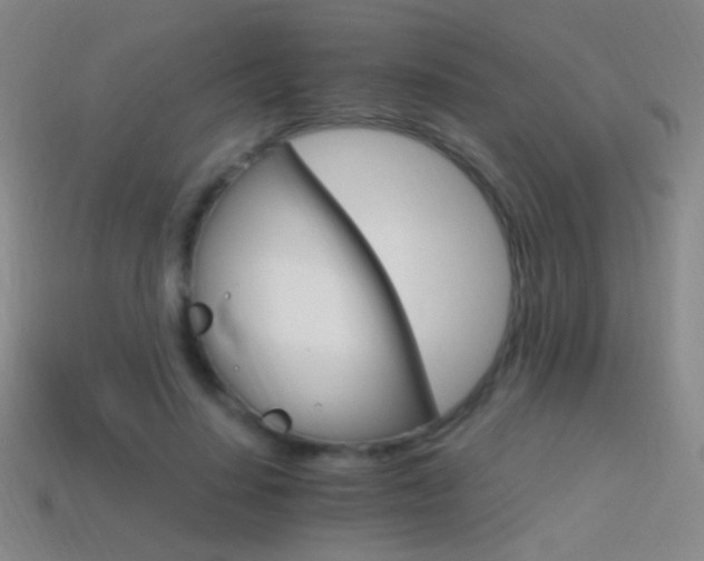 X0000114400644200910161316