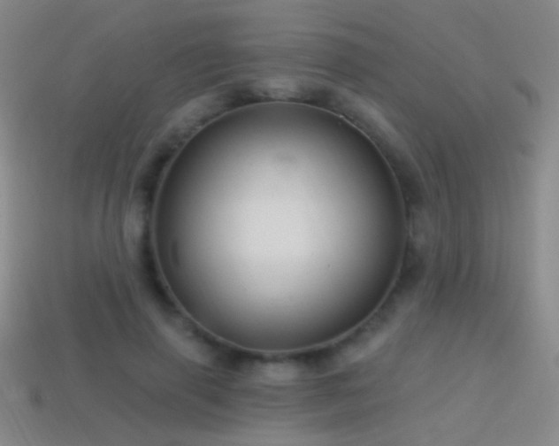 X0000114400645200910161316