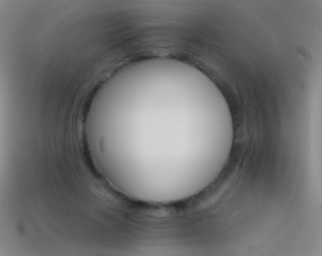 X0000114400646200910161316