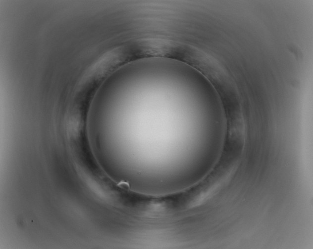 X0000114400647200910161316