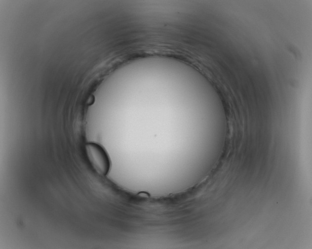 X0000114400648200910161316