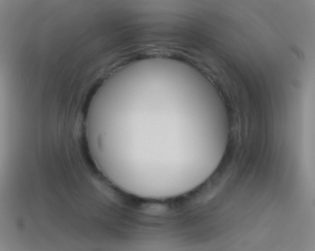 X0000114400649200910161316