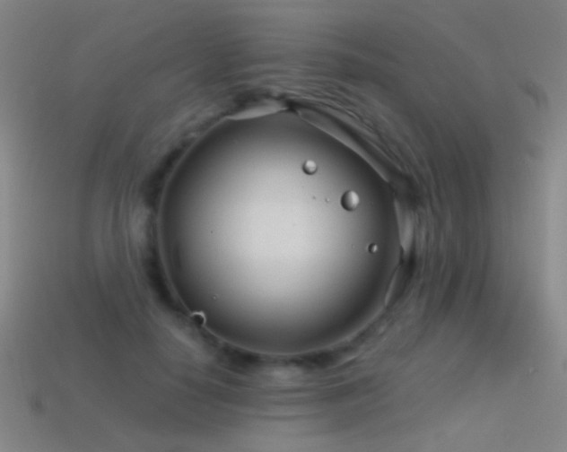 X0000114400650200910161316