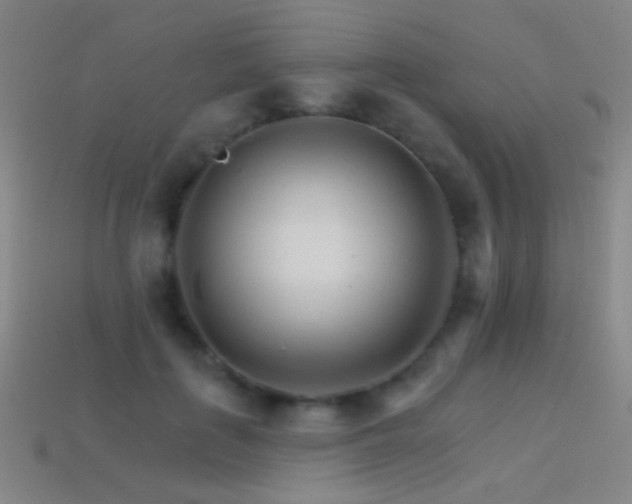 X0000114400651200910161316