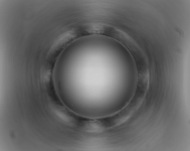 X0000114400652200910161316