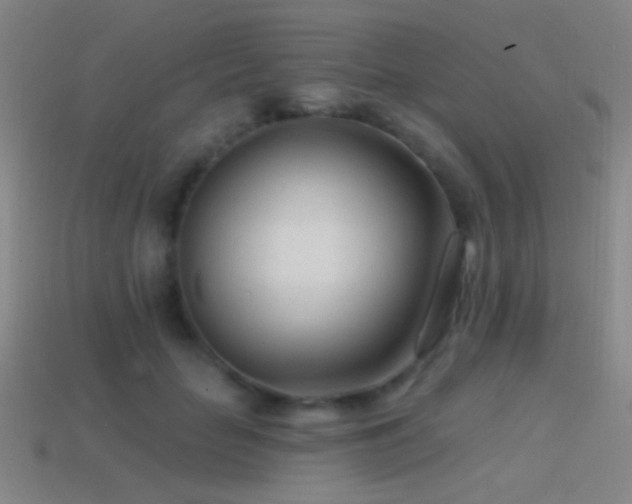 X0000114400653200910161316