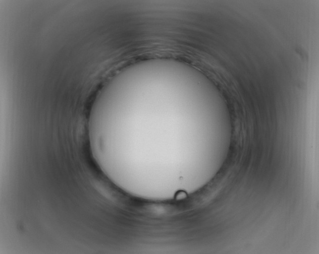 X0000114400654200910161316