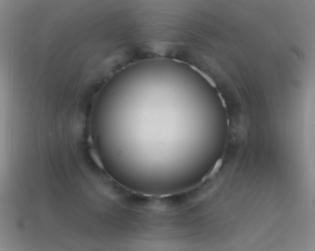 X0000114400656200910161316