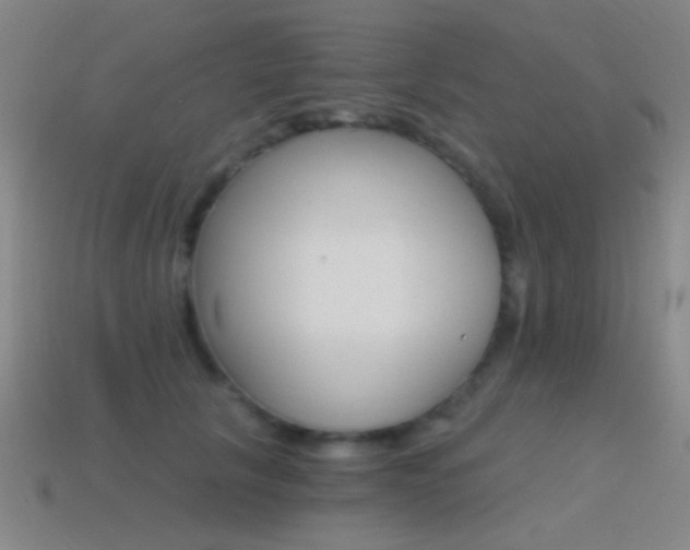 X0000114400657200910161316