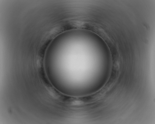 X0000114400658200910161316